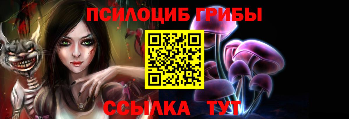 Псилоцибиновые грибы Psilocybe Еманжелинск